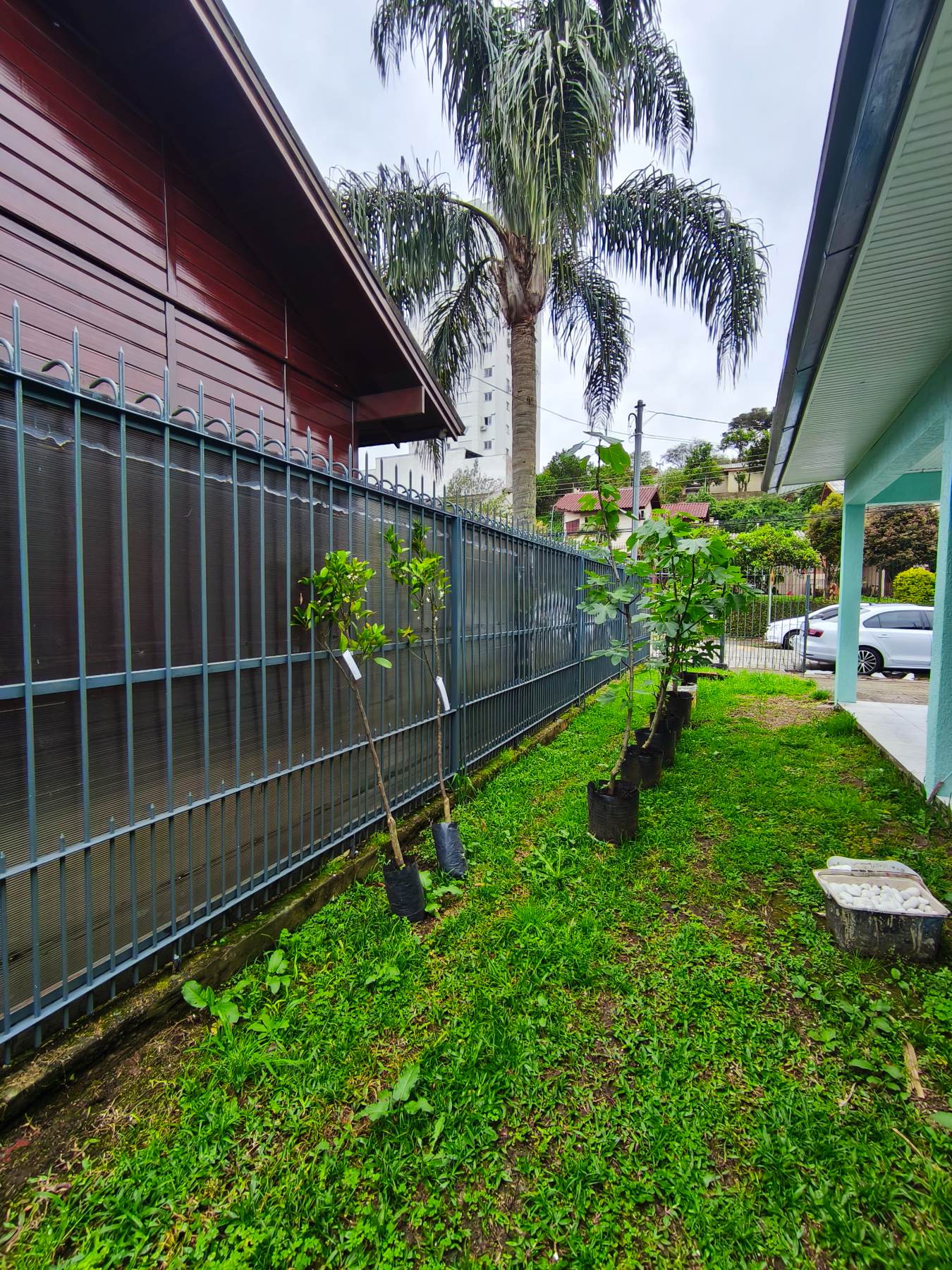 Casa 3 dorm no Desvio Rizzo — foto 4